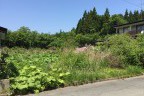 三戸郡階上町道仏 売地 216万円