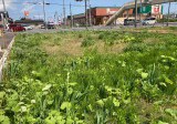 十和田市穂並町 売地 280万円