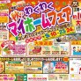 類家SR 秋のマイホームフェア