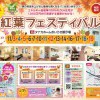 おいらせ　紅葉フェスティバル